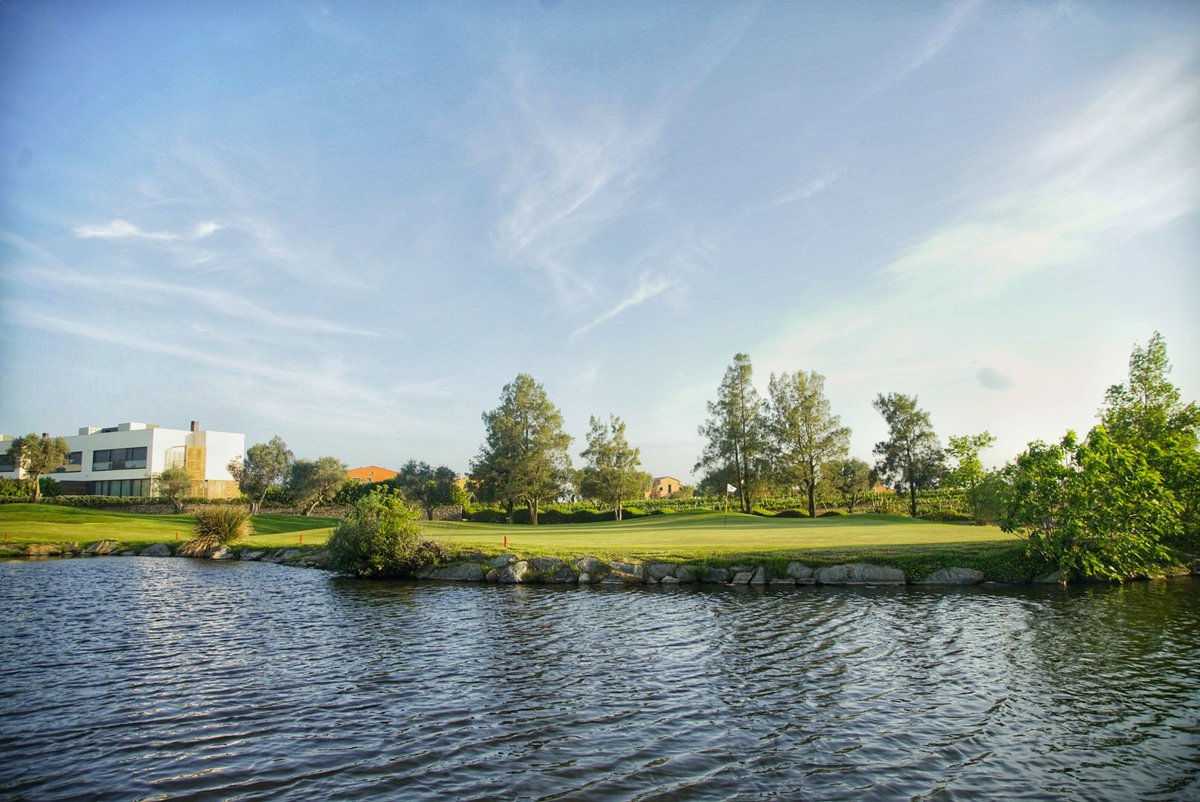 Golf Travel Journal tweet media