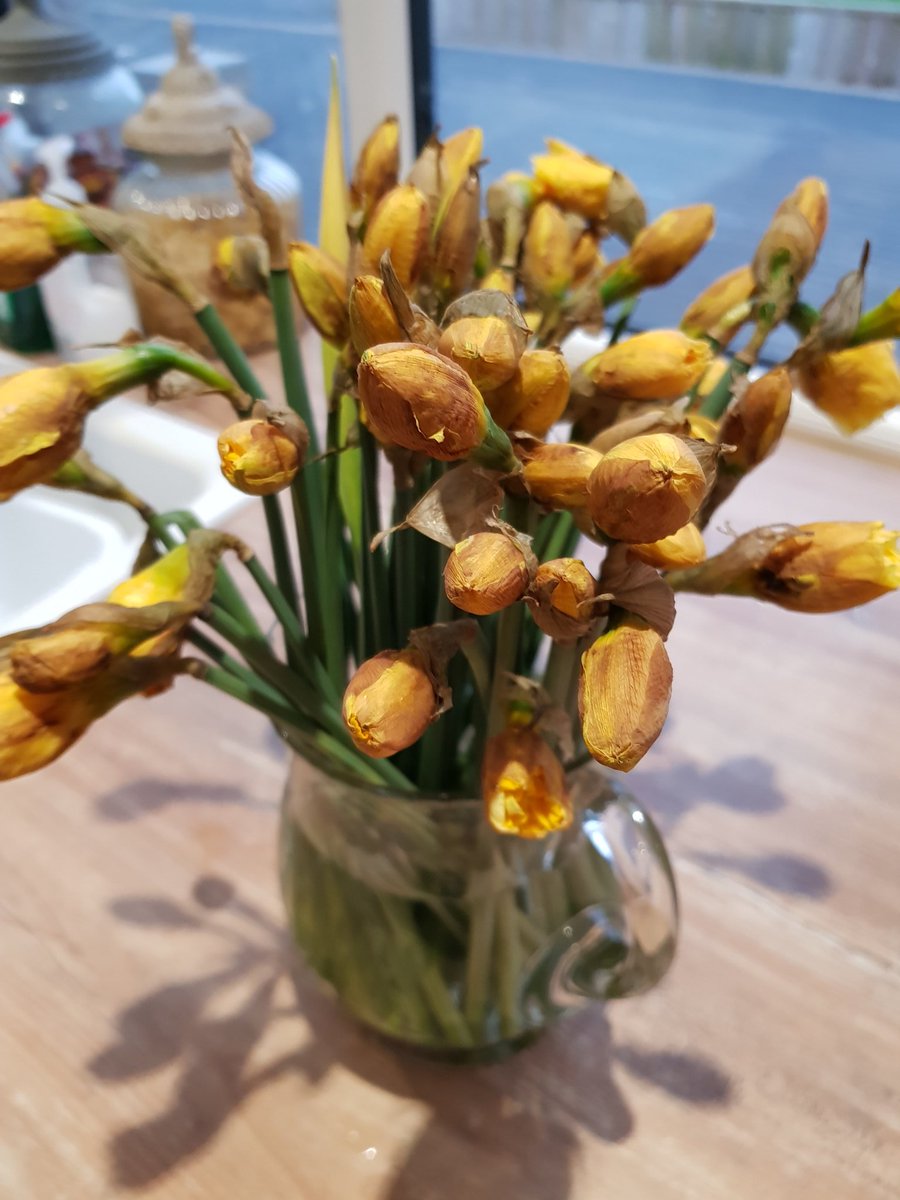 mandy_mount's tweet photo. This is the saddest bunch of flowers I've ever bought from @AldiUK very disappointed with them #sad https://t.co/M414pvWyeW