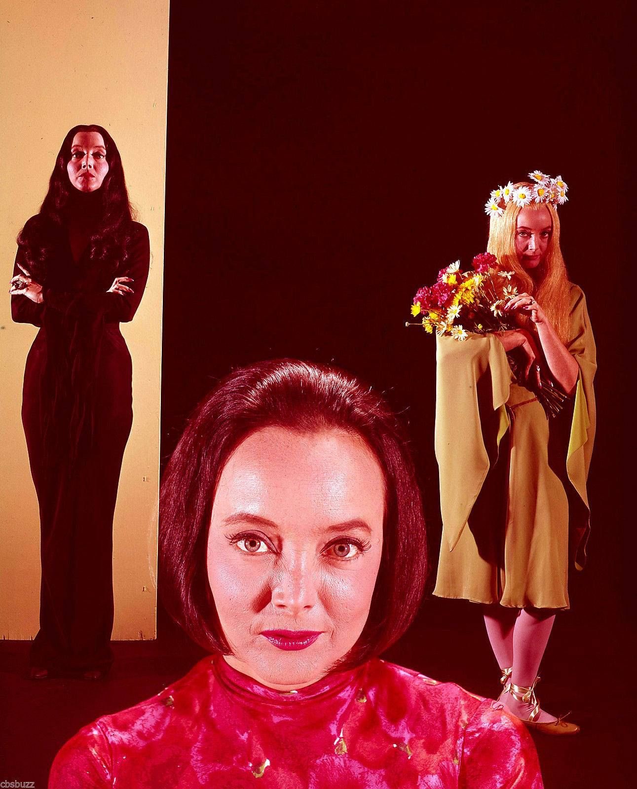 Aww happy birthday to Carolyn Jones though!! The Addams Family is the only mommy blog you need. 
