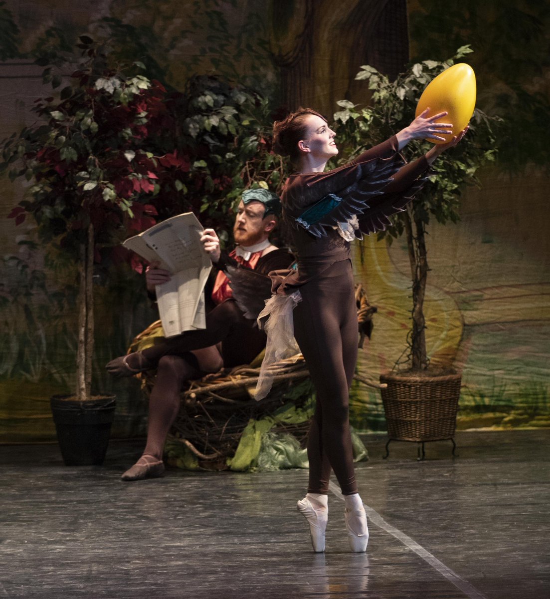 DancePrism's tweet image. Mr. &amp;amp; Mrs. Mallard can't wait for their eggs to hatch in VARIATIONS ON MAKE WAY FOR DUCKLINGS #DPDucklings #1ShowLeft [Photo by Warren Bailey] @MHTucker