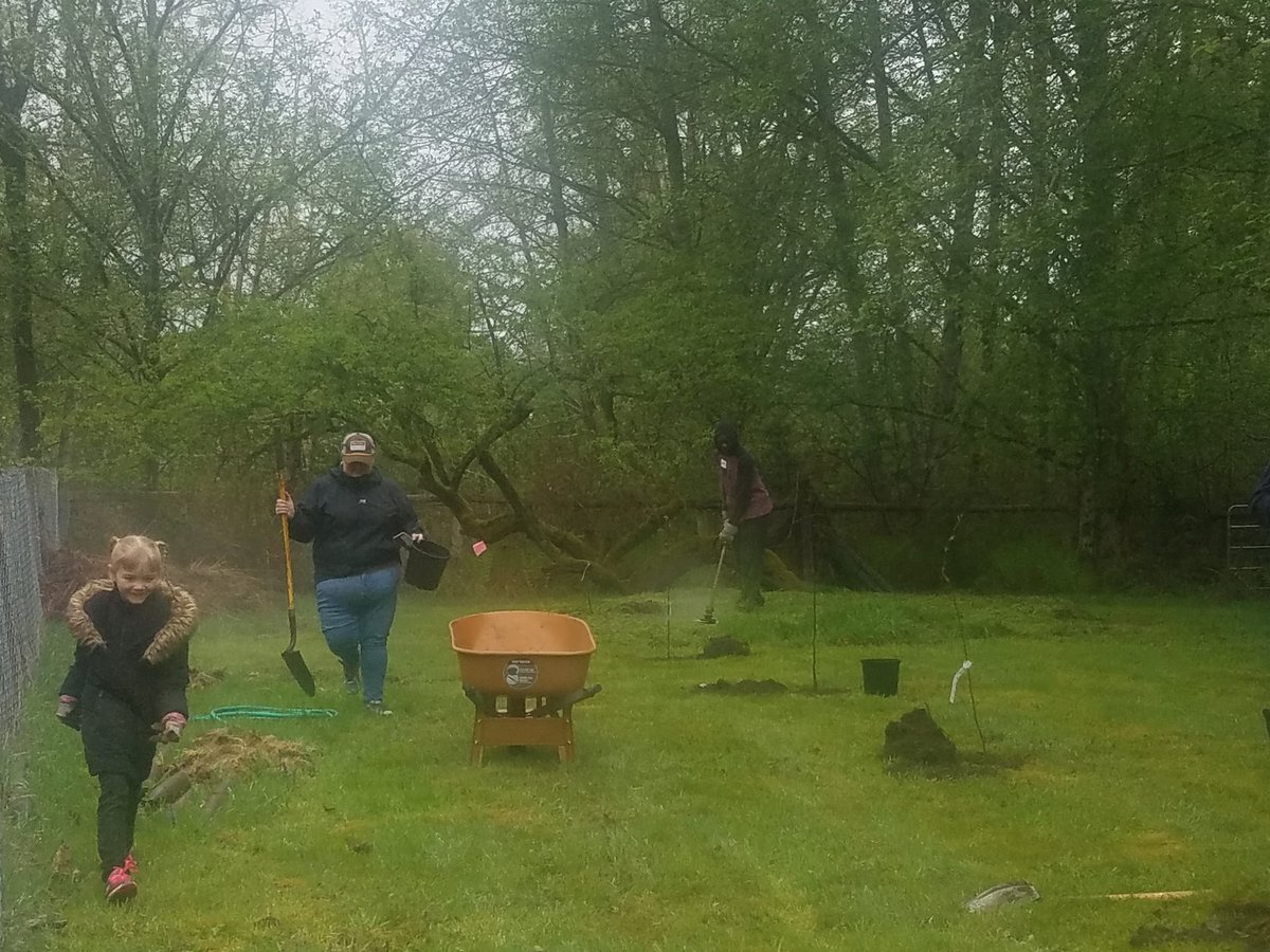 UPSers &amp; Institute for Community Leadership planting trees on beautiful Pacific Northwest day! #leadership #diversity #community <a href="/NorthwestUPSers/">Northwest UPSers</a>