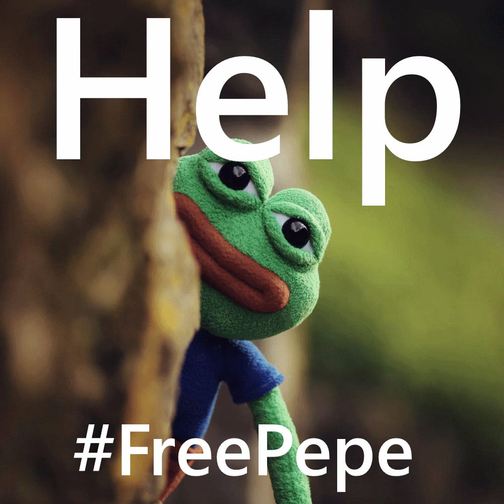 FriedaHummelas's tweet photo. HELP HIM!!!!!! #FreePepe https://t.co/arjPnrzx45