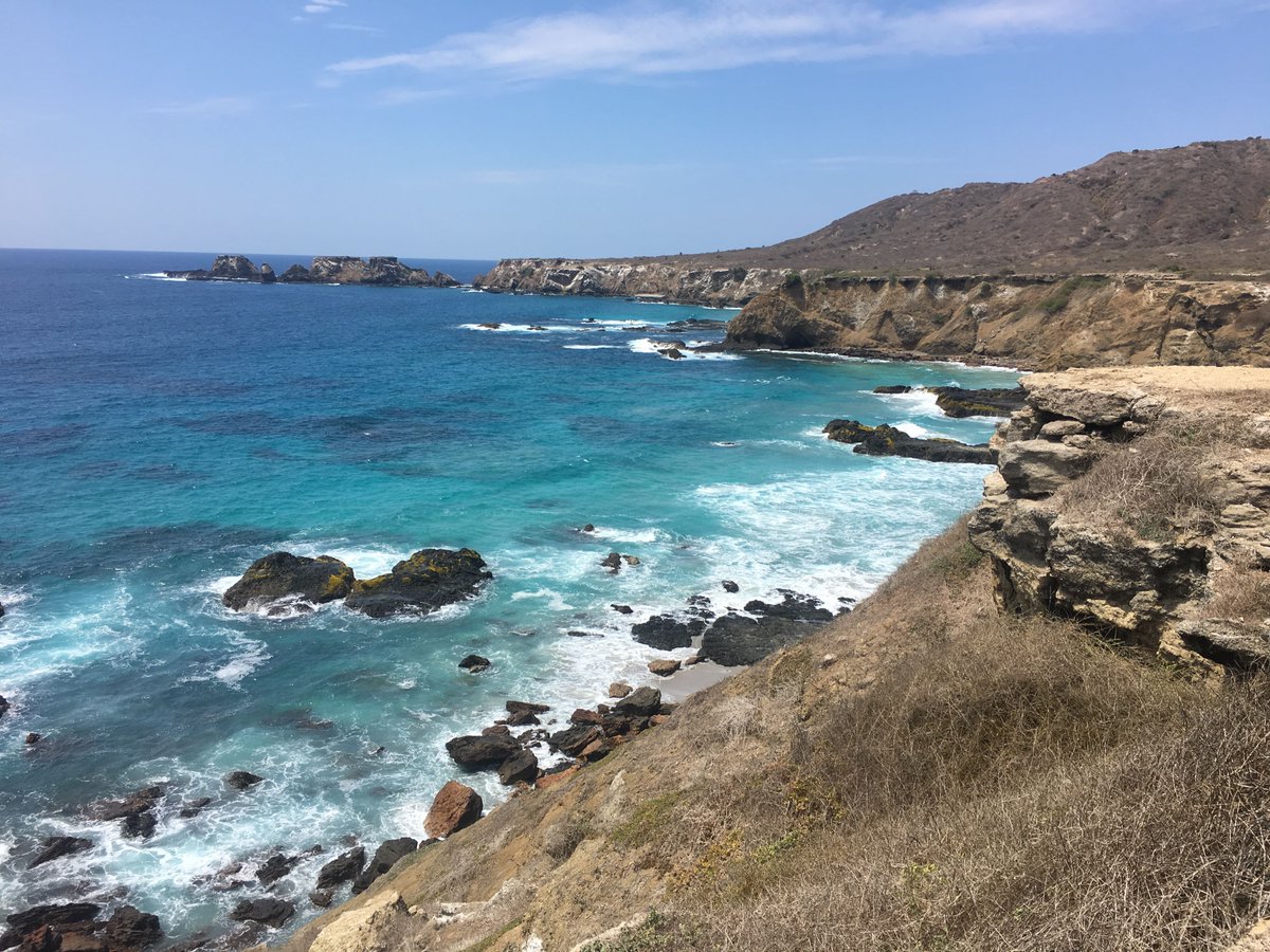 FIMRC's tweet photo. Come to serve, stay for the...
☀️Sunshine
🏝Island Adventures
💙Blue-Footed Booby
Scenic weekends to top off productive weeks in #Ecuador! #ProjectAnconcito #FIMRC https://t.co/ZeDhYpNUlN https://t.co/pDAUH5nE3F