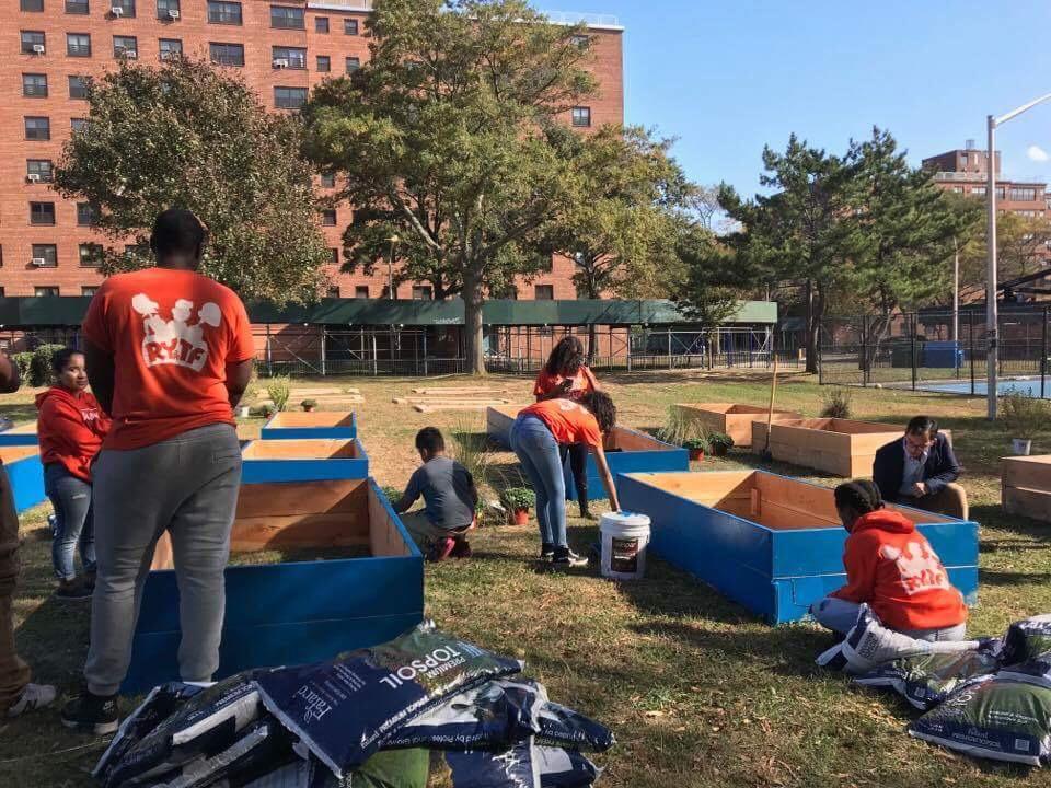 NYCHA's tweet photo. .@NYCHA supports resident- and community-led #sustainability initiatives in any ways. See how you can get involved in the #NYCHAJournal https://t.co/LW8npzetZj #EarthWeek2018 https://t.co/BkXEEej7zJ