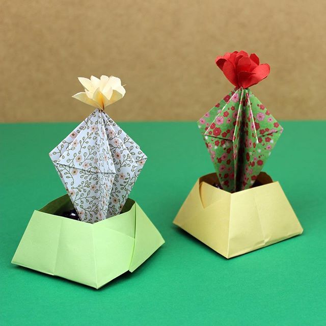 umamanualidades's tweet photo. 🌵🌵 Descubre cómo hacer un #cactus de #origami, 🌵🌵 aprende a hacer cactus de papiroflexia con papel muy fácil en el vídeo de hoy. Y descubre más en nuestro curso de origami. https://t.co/rOf2XWa5un https://t.co/Fsx69S8OxD https://t.co/8E5Eja2mUH