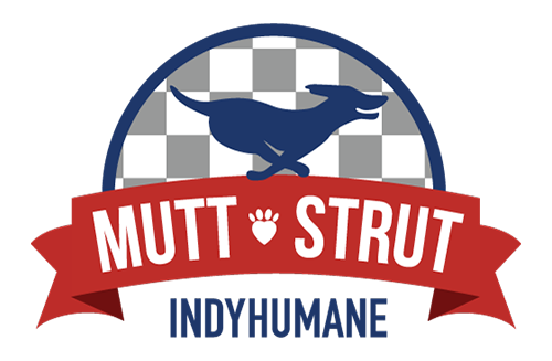 JaysMoving's tweet photo. It's today!! We are so proud to be a part of this awesome event!! Come out with your mutt and say hello! Can't wait to see you! #muttstrut2018 #indyhumane #jayslovesdogs #jaysgivesback https://t.co/gThKzTOyhf