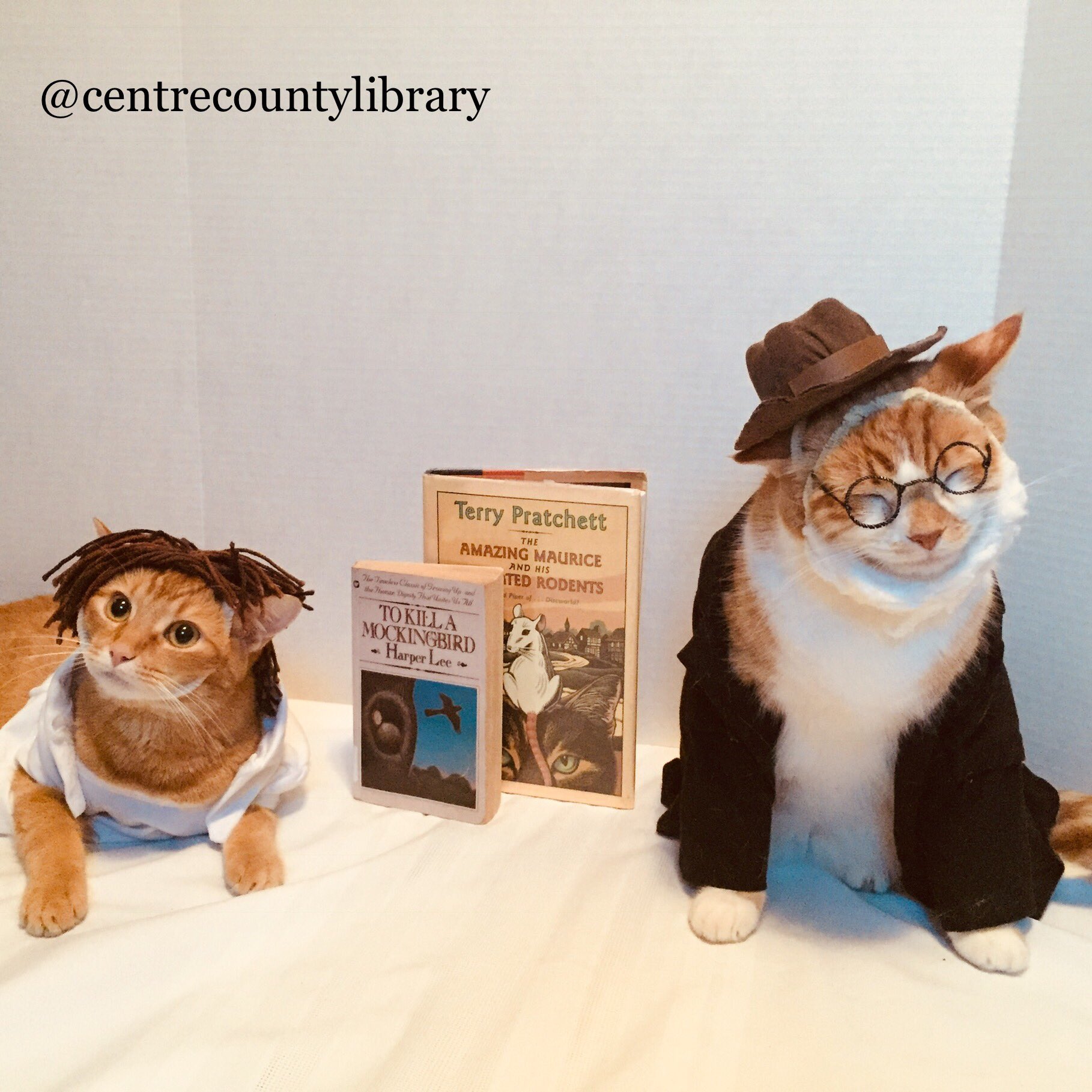 Happy birthday authors Harper Lee & Sir Terry Pratchett!    