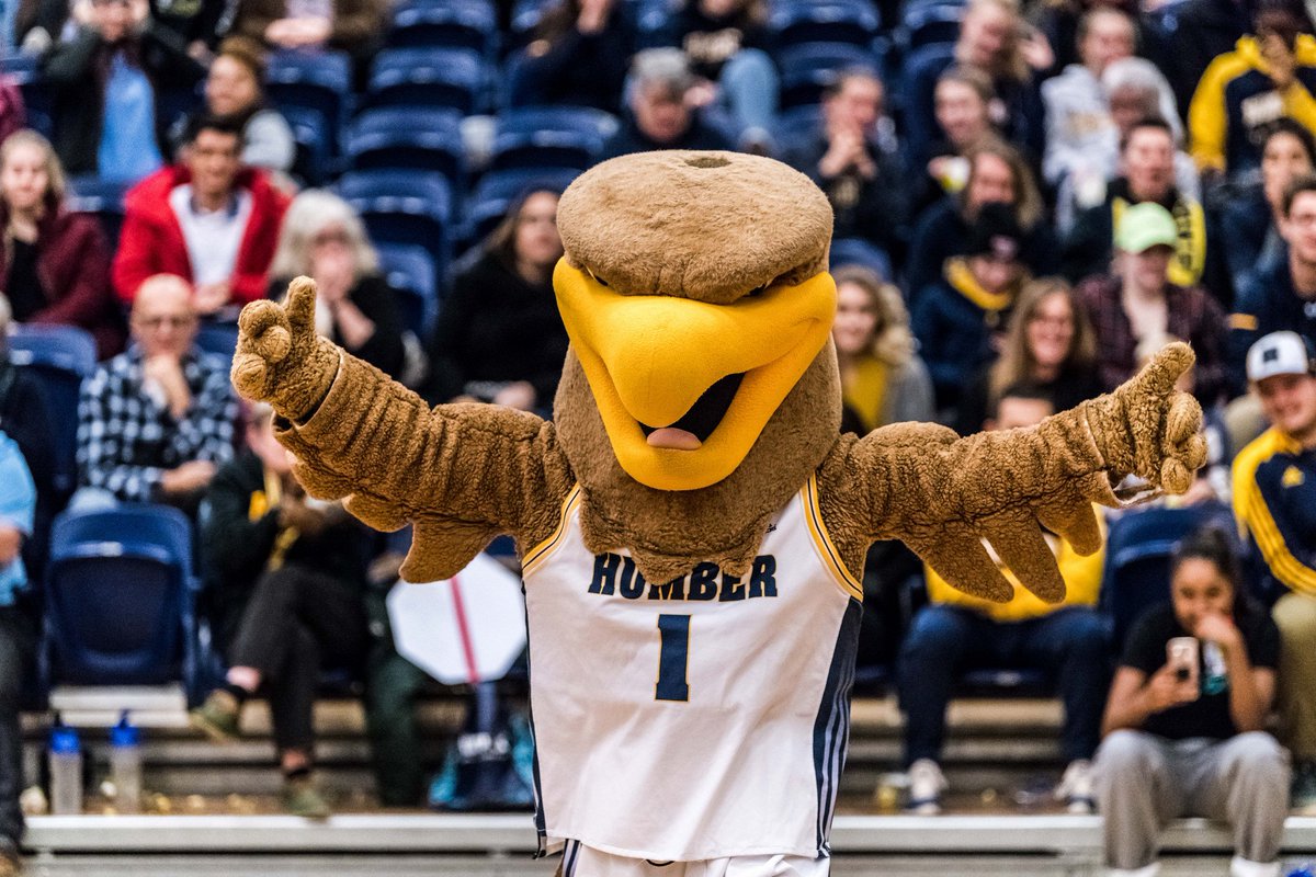 Next Saturday is #SpringOpenHouse at @humbercollege! Come by Athletics from 10am - 2pm to learn about #HawksNation and how you could become a future member!🦅 #DestinationHumber