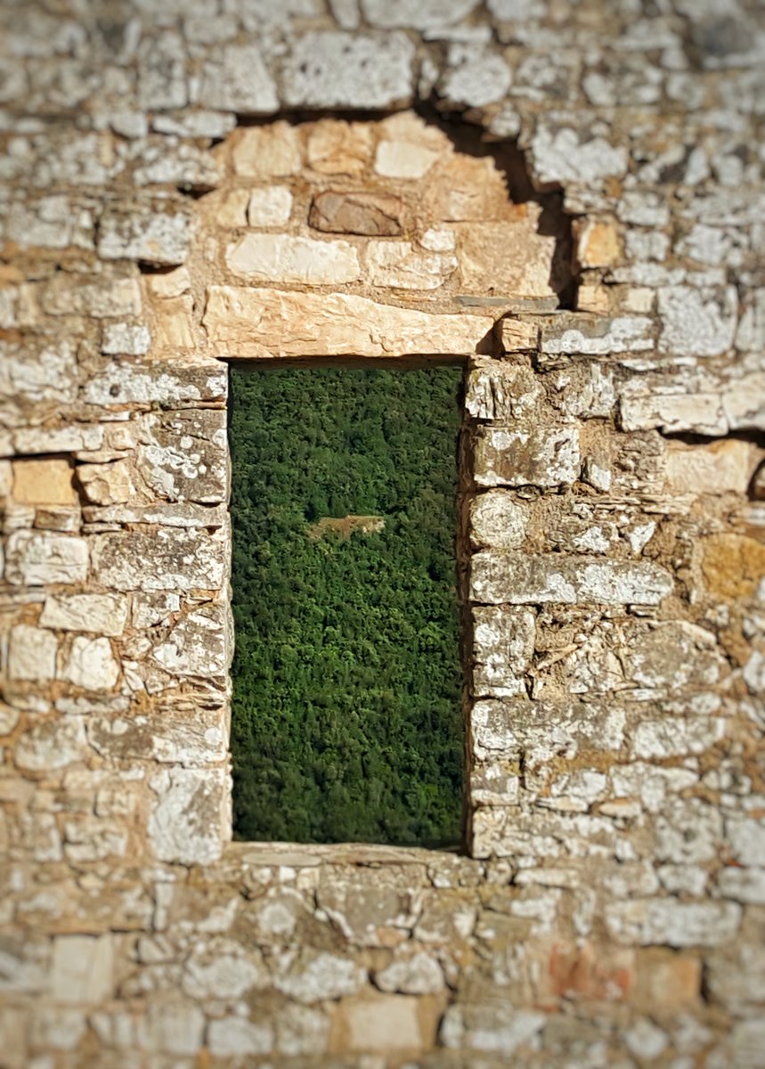 Le finestre "verdi" del villaggio medievale di #SanSilvestro. Anche questa è la nostra #natureMW #MuseumWeek <a href="/MuseoMAP/">MuseoPontecagnano</a> <a href="/villabernasconi/">villabernasconi</a> <a href="/MuseiCiviciRE/">Musei Civici ReggioE</a> <a href="/museitaliani/">museitaliani</a> <a href="/PalazzoDucaleMN/">pal.mn</a> <a href="/MuseodelCarbone/">Museo del Carbone</a> <a href="/museobrettiics/">museobrettiienotri</a> <a href="/MuseoBrunello/">Museo del Brunello</a> <a href="/museofirenze/">MuseoFirenze</a> <a href="/TermeNeronePisa/">TermeNeronePisa</a> <a href="/Cooltouralmente/">Cooltouralmente</a>