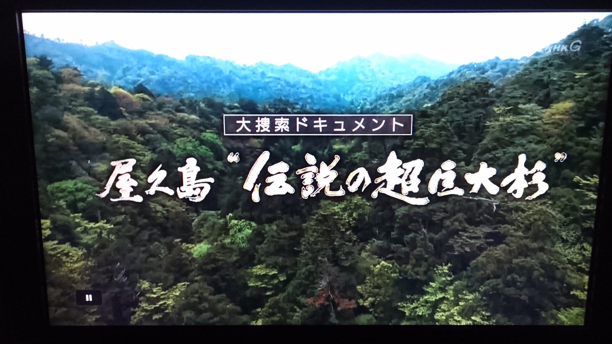 レッドキング 何故か録画している番組 屋久島 伝説の超巨大杉 世界遺産である屋久島 その屋久島で最も巨大な杉の木 縄文杉 百年前の国の調査で木こり達への聞き込みにより縄文杉より巨大な杉が存在する可能性が出て来た 番組では 縄文杉を