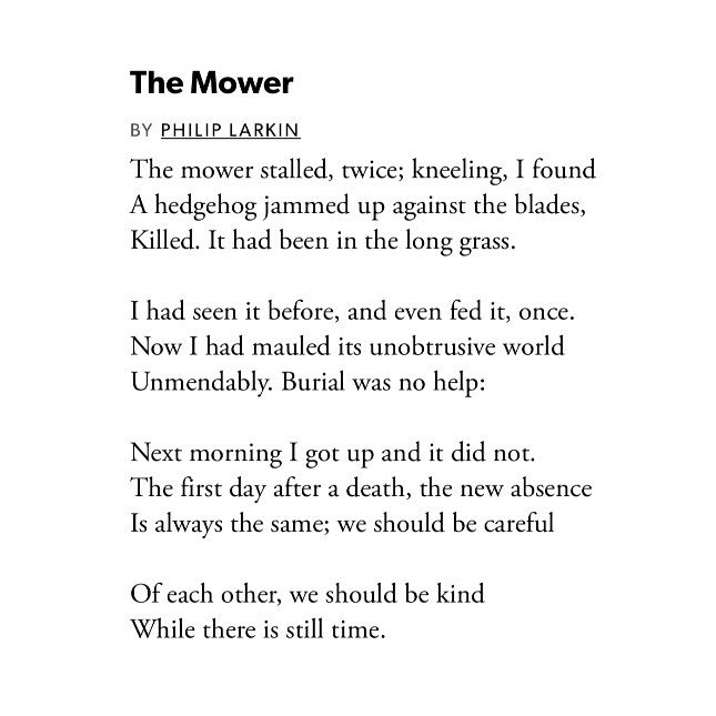 SJSwords's tweet photo. THIS POEM!!!
The Mower
BY PHILIP LARKIN
https://t.co/lWyKjN3qyf
#PhilipLarkin #TheMower #poem #poems #poetry #poet #writer #poetrylovers #poetrycommunity #poetsclub #poetryisnotdead #spokenword #poemaday #poetryisart #lovepoems #poetryinmotion https://t.co/wKvd4WdzqD