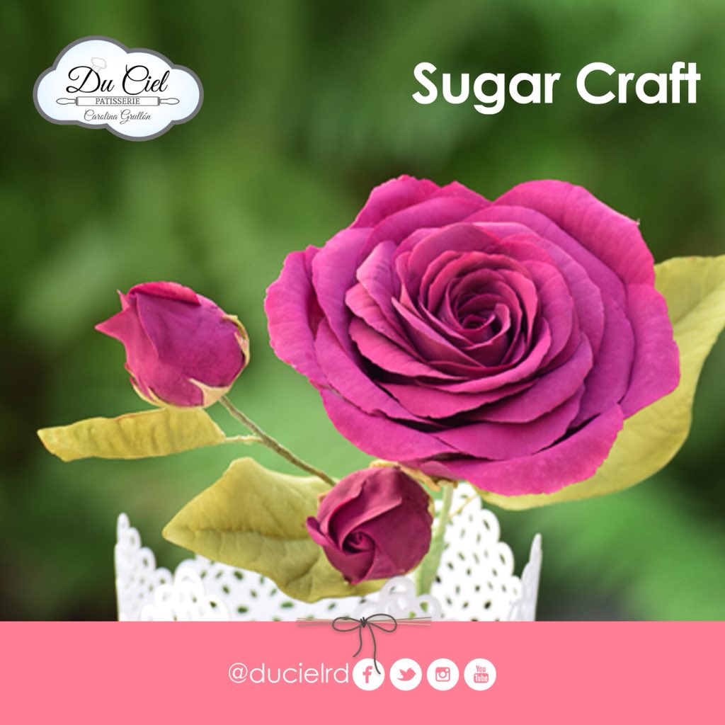 DuCielrd's tweet photo. La rosa es una de las flores más populares de los jardines, varía su significado dependiendo el color, en rojo hasta el rojo vino más intenso es símbolo de Amor, rondan en 100 especies.  Los cultivadores o rosalistas del siglo XX se centraron en el... https://t.co/wD4kB72tdd… https://t.co/k8Hp7PPHAd