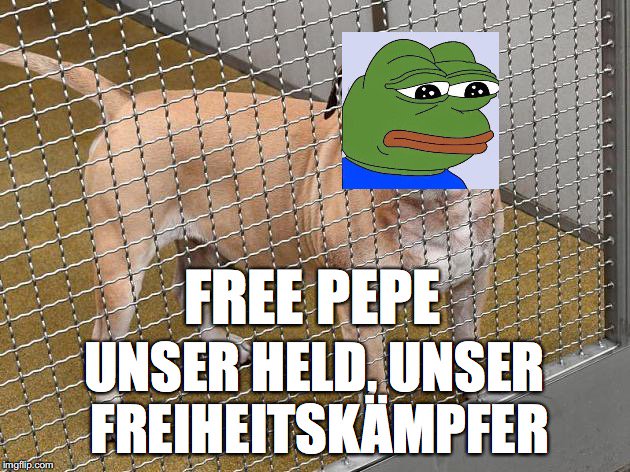 schwaenzchen1's tweet photo. #FreePepe https://t.co/xfEEH9KR25