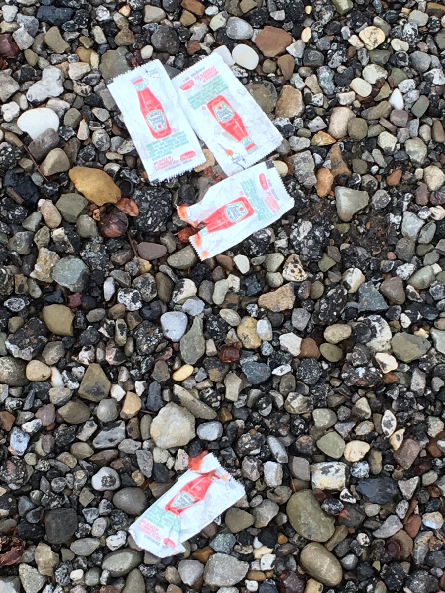 K_Akron_B's tweet photo. Cleanup group scheduled for Reservoir Park not here, so I cleaned up the parking lot so they can “ketchup” and get to the @AkronZoo for the party! #CUAM2018 https://t.co/FQclJm0nGd