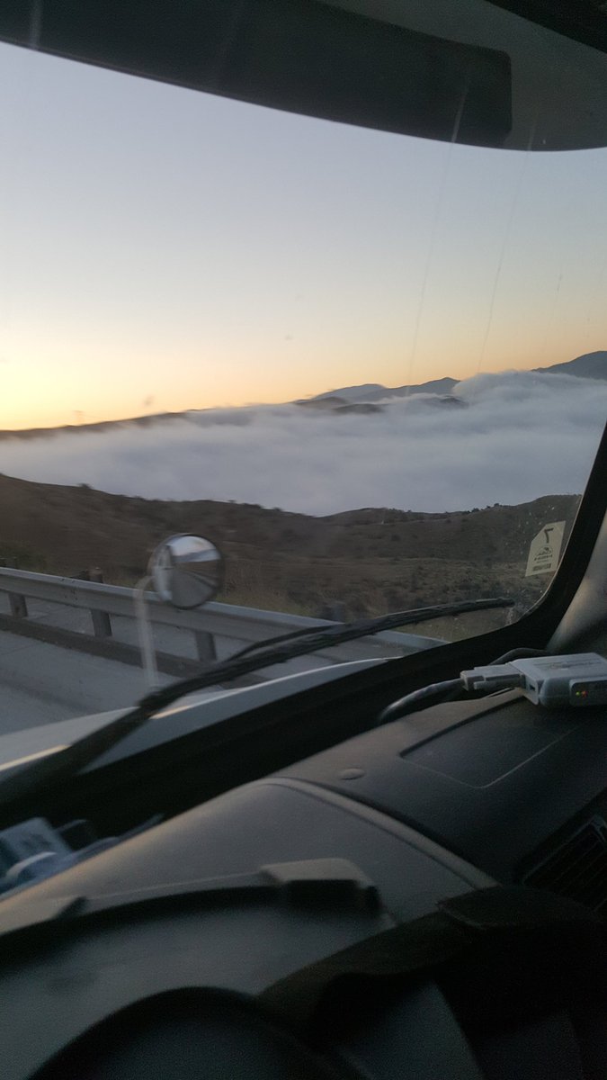 modog82's tweet image. Loving California