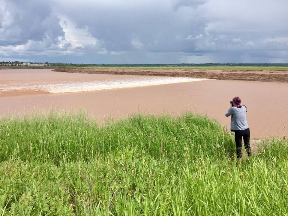 Once considered one of the most endangered rivers in North America, the #Petitcodiac River is now on its way to restoration! 2018 #TidalBore schedule: bit.ly/2CVLtRz #NatureMW