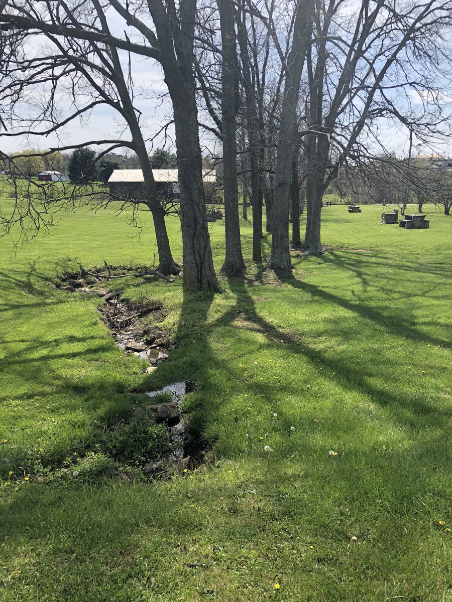 Get out and enjoy the fresh air and sunshine in Springfield, KY! We’re a Certified Clean County ❤️🌎❤️ Idle Hour Park has a walking path that circles the park, ball fields, playgrounds, tennis courts, picnic pavilions, and it’s conveniently located to shops &amp; restaurants.
