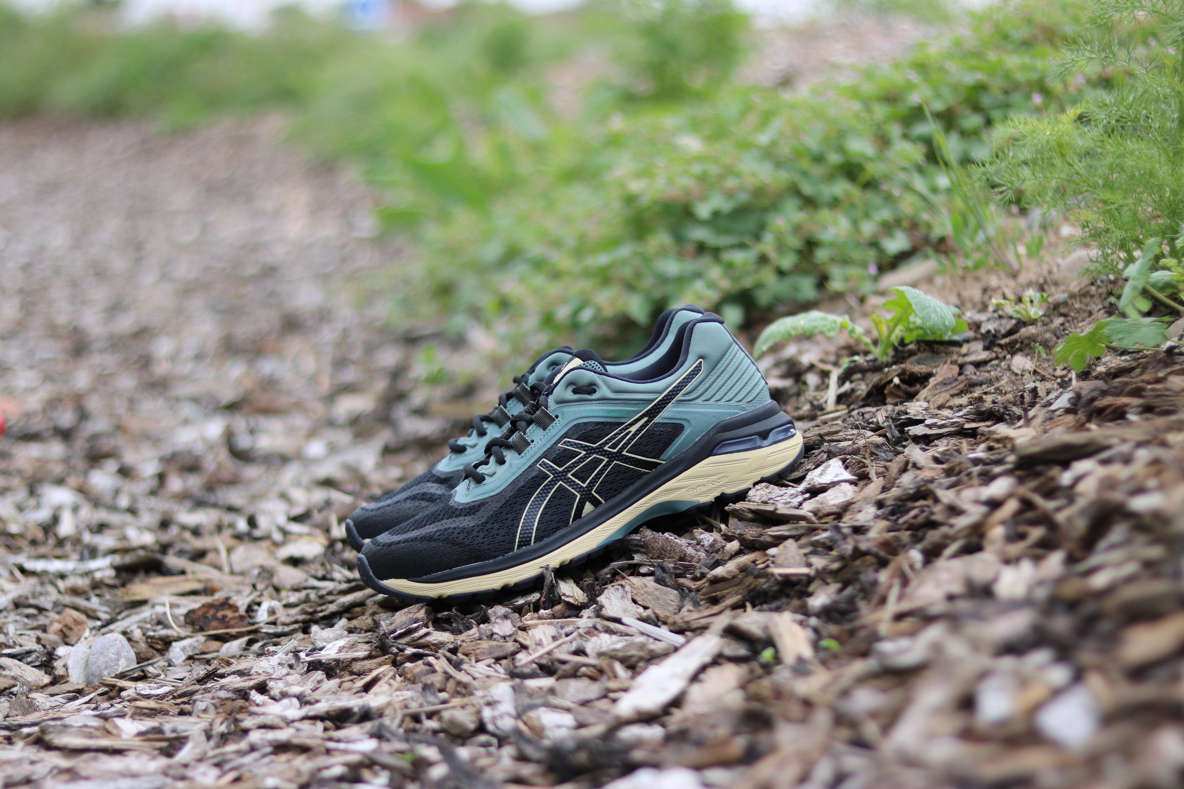 Asics gt 2000 6 trail mens sales
