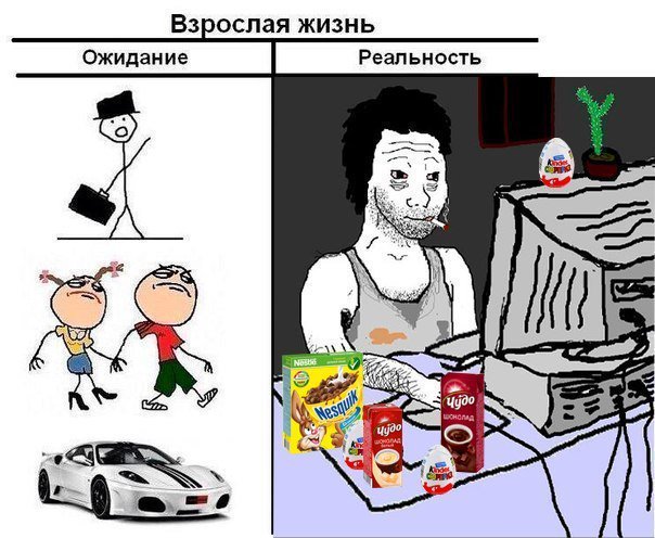 crazy_kutas's tweet photo. Ожидание и реальность https://t.co/0sWeKszsNz