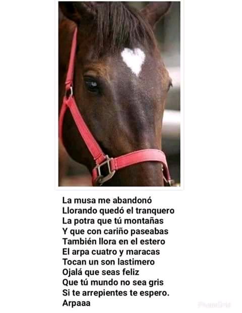 fcoestevez's tweet photo. Así amaneció El Poeta con los trapos en la calle, se perdió desde el jueves hasta hoy ...... https://t.co/SJLVRTZYym