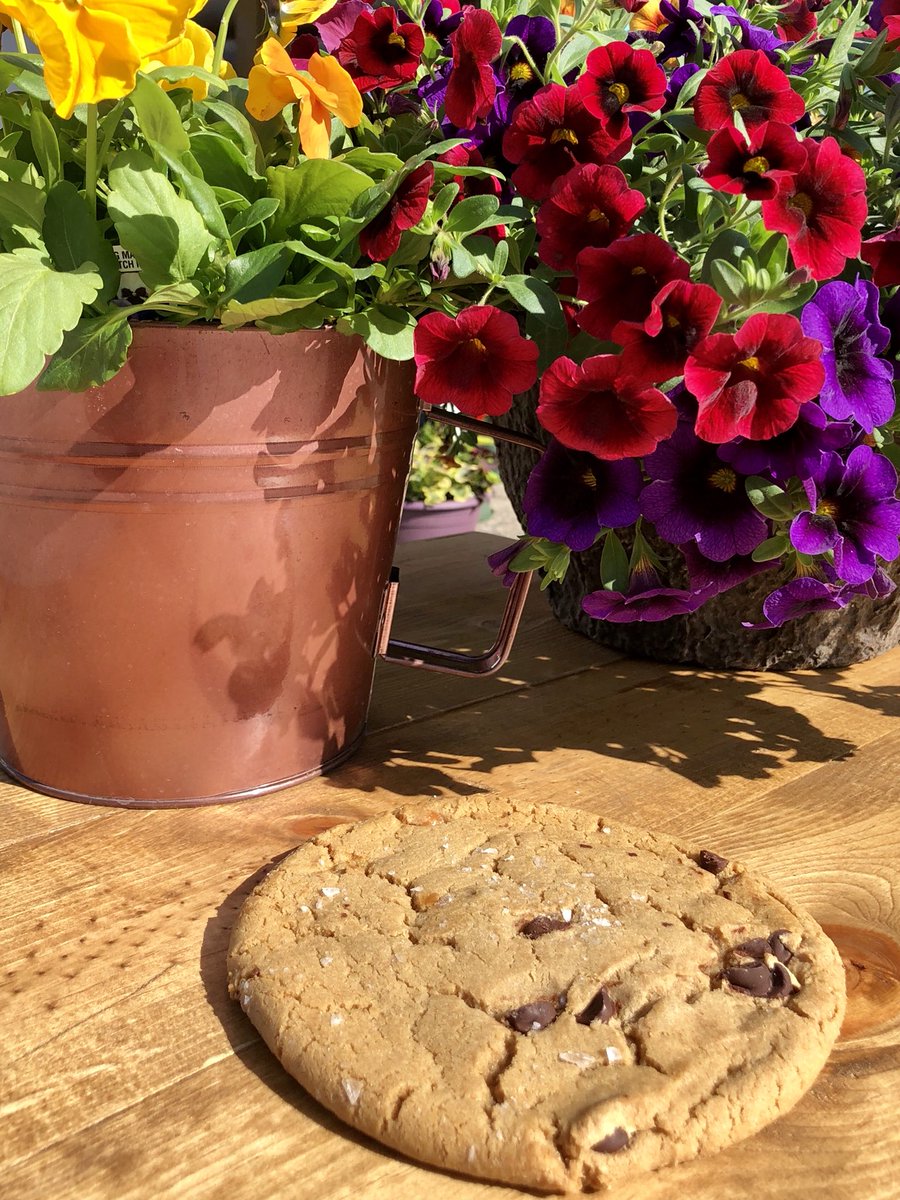 azirskin Farmers Market Flowers Minneapolis / During these uncertain