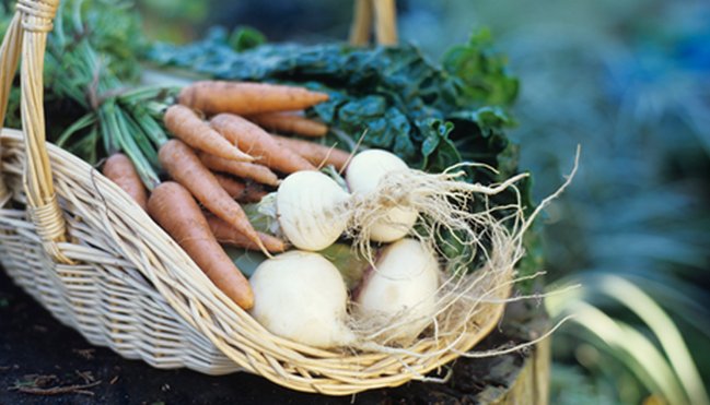 Seedy Sunday EB tweet media