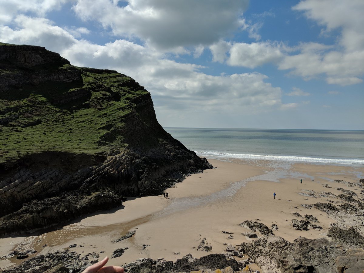 Miss Salt tweet media