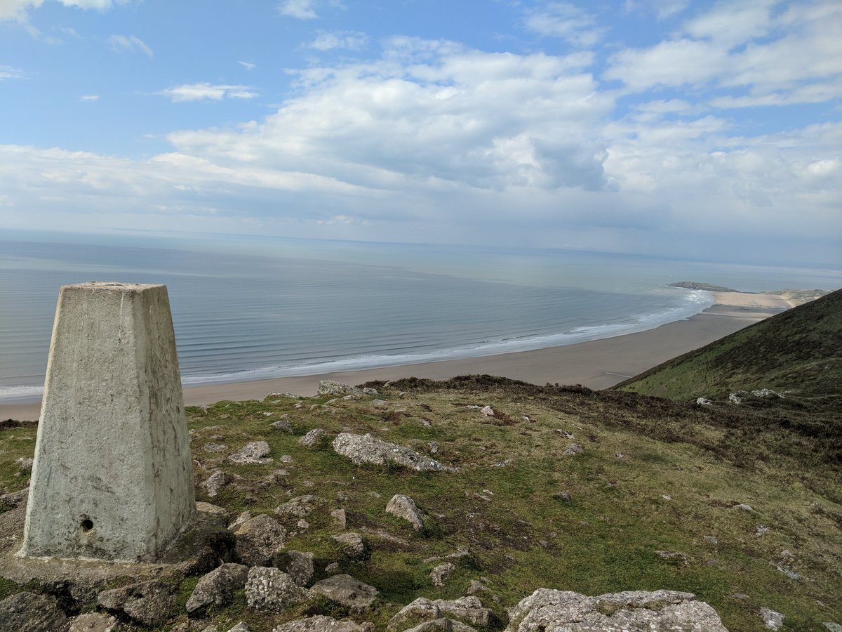 Miss Salt tweet media