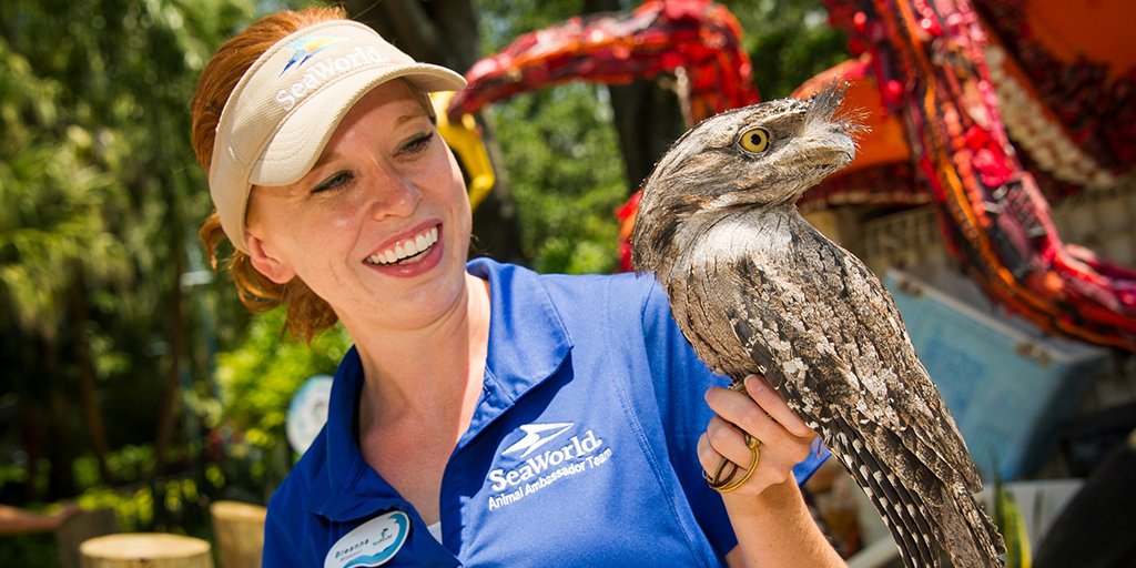SeaWorld tweet media