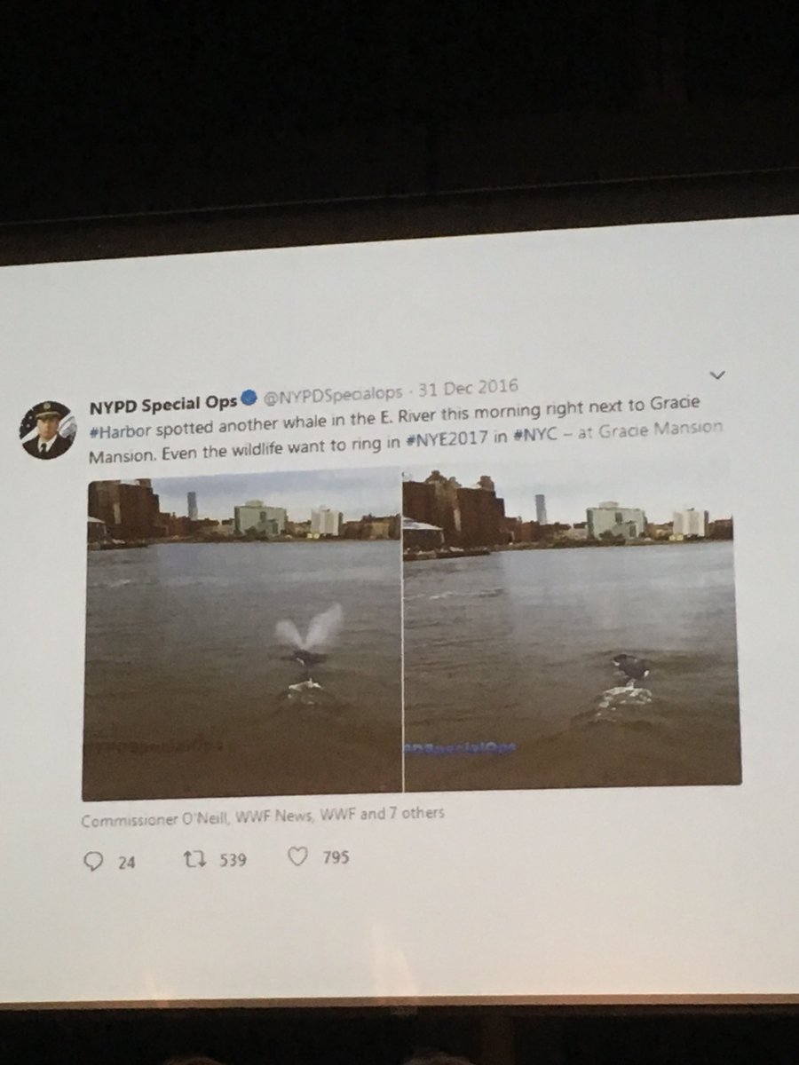 ACTMIT's tweet photo. .@MITarchitecture’s Sheila Kennedy presents on the East River. #zooetics https://t.co/HoVwcy3rbJ