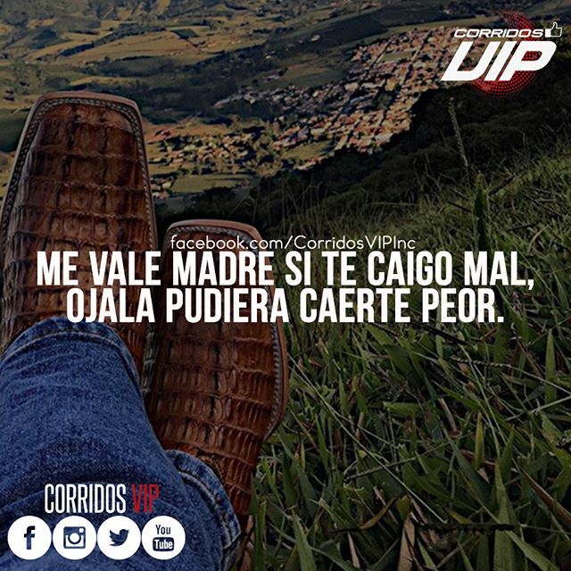 CorridosVIP's tweet photo. Ojalá 😌  #corridosvip #teamcorridosvip #corridos #borrachos #tkt #fiesta #peda #ranchero #carrerasdecaballos #cuaco #mexico #regional #sinaloa #sonora #amigos #corridosybanda #corridosgram #corridoschingones #norteño #mexican #mexicanmusic #twitterco… https://t.co/kkpMDjWgnT https://t.co/QtjrWau3dY
