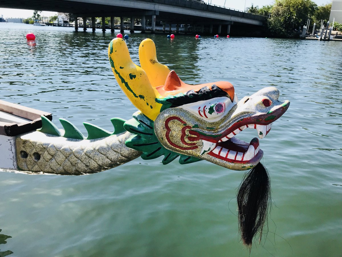 samarasodos's tweet photo. The #Dragonboatraces are lighting up @CityofTampa @Tampasdowntown - proud to be banging the drum for @PortTampaBay #harbormasters https://t.co/yclrr1gAP2