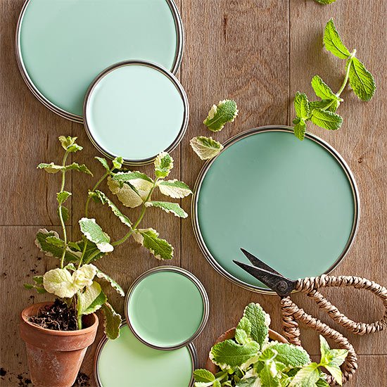 PropertyTLC's tweet photo. Painting and Gardening two of our favorite things!
#Painting #Gardening
#SpringColors #Greens #Blues
#Home #House #PropertyWithTLC https://t.co/6GF1udgeUD