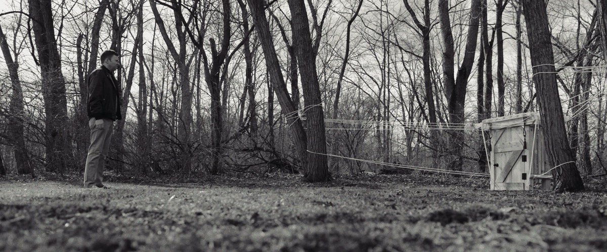 Fieldsandplanes's tweet photo. I imagine a scene, a garden so green, where nothing is as it seems. https://t.co/kSHKnsEDmS