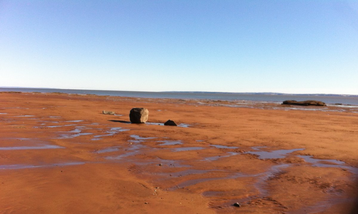 low tide at Kingsport, just NW of loc 6. The tidal flats here are underlain & bordered by late Triassic wadi sandstones, giving everything a rusty colour. The large erratic comes from the cliff a few 100 m to the left (North). It was moved here by winter ice  #MinasBasinTidal