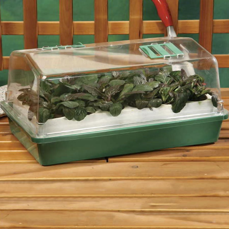 ParkSeed's tweet photo. If spring still hasn't sprung in your area, share a pic of your seeds/seedlings waiting to be transplanted outdoors. Be sure to tag us and use #Waiting4Spring and you might just win some garden goodies! https://t.co/cTovzQxQwG