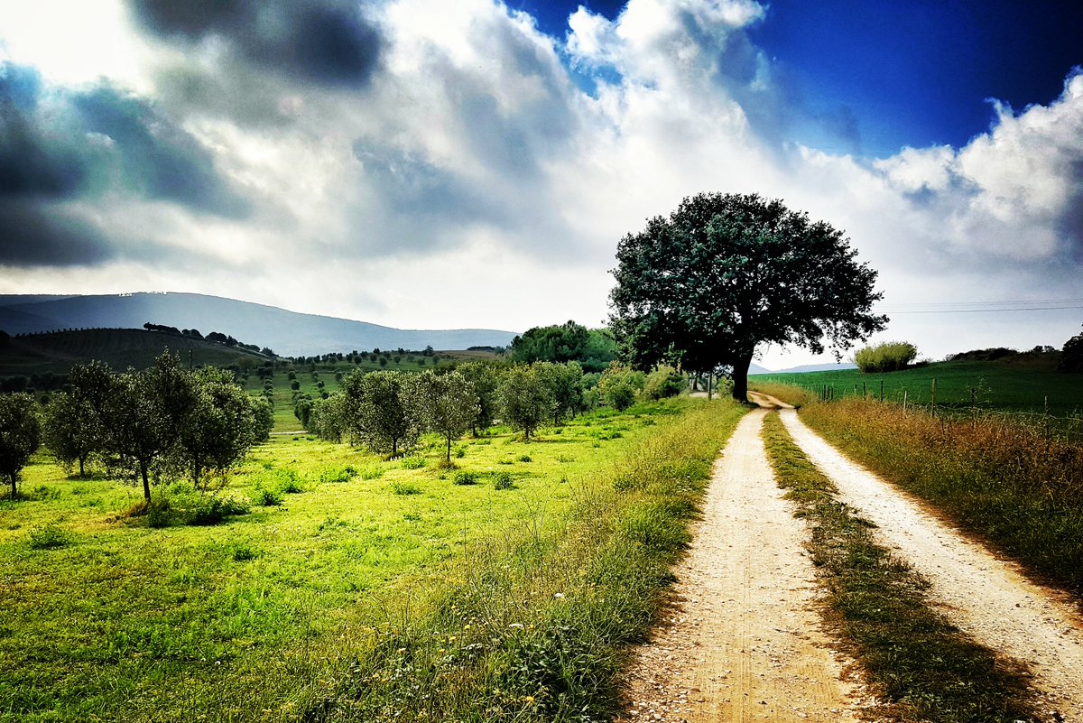 parchivalcornia's tweet photo. La #ValDiCornia, con chilometri di sentieri e percorsi che attraversano parchi naturali e archeologici è l'ideale per un trekking nella NATURA #natureMW #MuseumWeek @massimogiu @roventini1972 @EmpoliValdelsa @regionetoscana @redazioneTPT @museofirenze @TheFlorentine @MuseoCanapa https://t.co/QDiPjRbWZq
