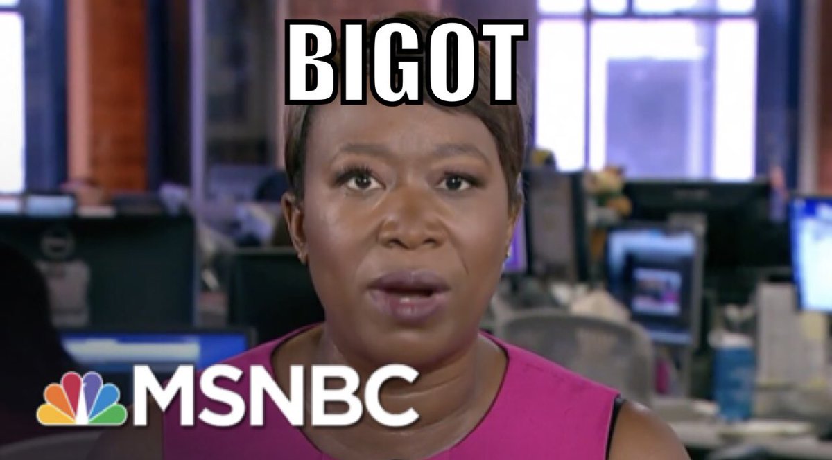 Joy Reid: I genuinely don't believe I wrote those hateful things (against gays)