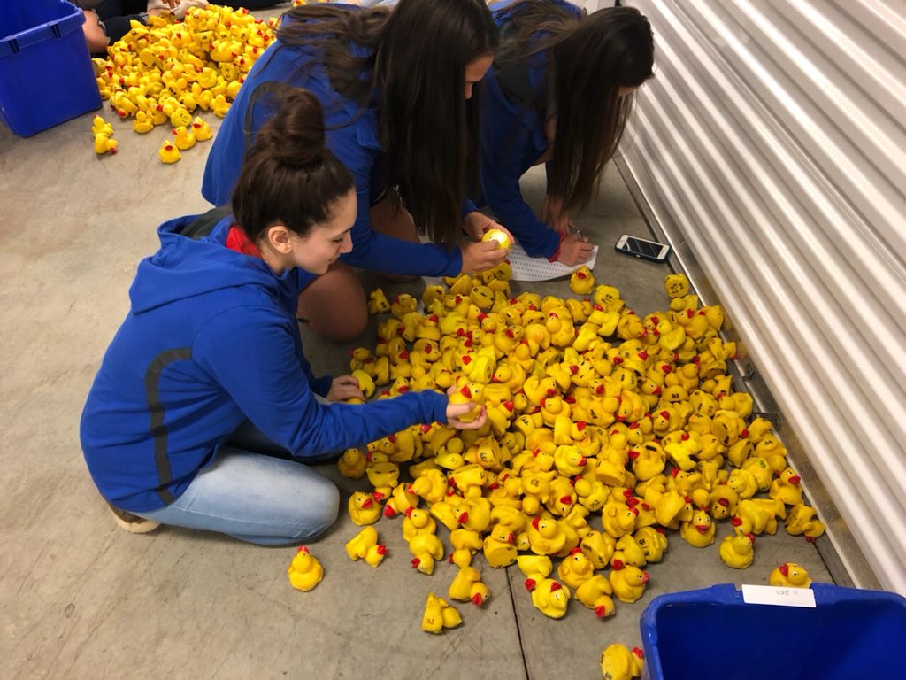 SPCHS_buzz's tweet photo. SP girls basketball team helping sort through 5000 rubber ducks this Saturday morning for the Pequabuck Duck Race on May 6! 

Need your tickets? Stop by St. Paul Monday or Tuesday and we can help you out! @CentralCTChambers #communityservice #lotsofducks https://t.co/fM6HC2SPGC