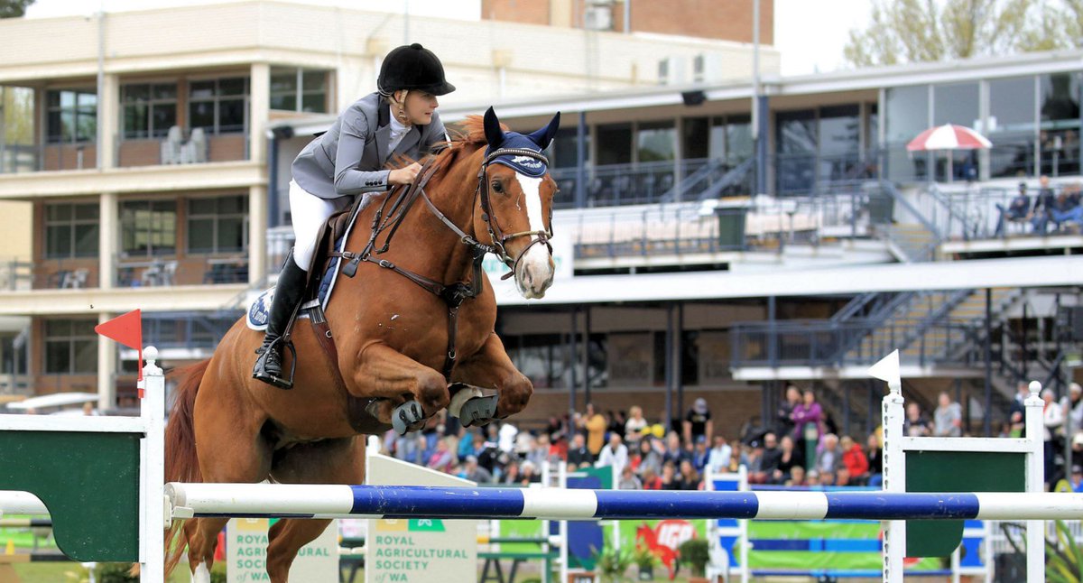 Florance_A_Guy's tweet photo. RT https://t.co/0x3Dbgz0Y4 Watch Show Jumping Live Stream Online
#ShowJumping #ShowJumpingLive #ShowJumpingLiveUpdate #ShowJumpingLiveStream #Show_Jumping #Show_Jumping_Live
#AMJoy #IndependentBookstoreDay https://t.co/ZYA41BRDbO