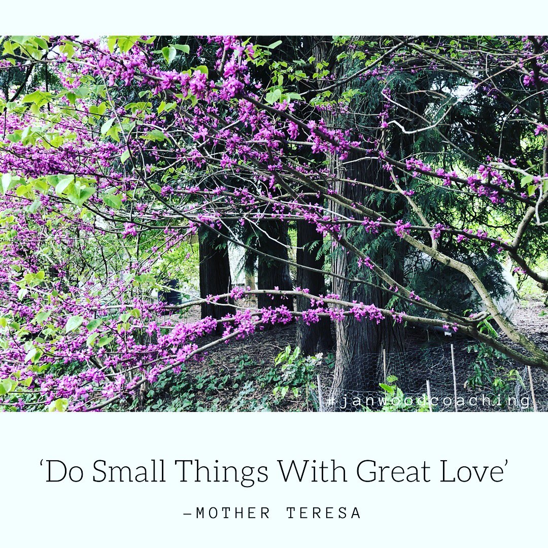 JanWoodCoaching's tweet photo. Did you know that acts of kindness release the hormone oxytocin and that this hormone protects the heart to help us live longer? Help your heart by doing something kind for yourself and others today!
#bekind #kindness #payitforward #love #compassion https://t.co/VW2sOTb7je