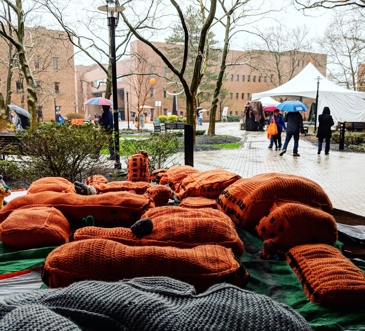 HooksNeedlesRIT's tweet photo. It's a bit rainy outside but this knit city is staying dry between booth and engineering. Stop on by to learn to finger knit! #imaginerit https://t.co/7Hau9MiQWR