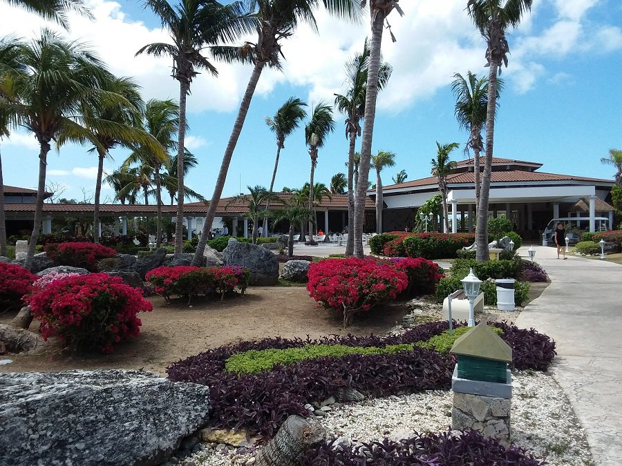 MeliaCuba's tweet photo. Hibiscus Red &amp; Bougainvillea Pink are our spring colors for 2018. What´s yours?
#CubaMoreThanEver https://t.co/lGZpA30jX0