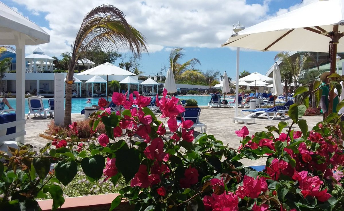MeliaCuba's tweet photo. Hibiscus Red &amp; Bougainvillea Pink are our spring colors for 2018. What´s yours?
#CubaMoreThanEver https://t.co/lGZpA30jX0