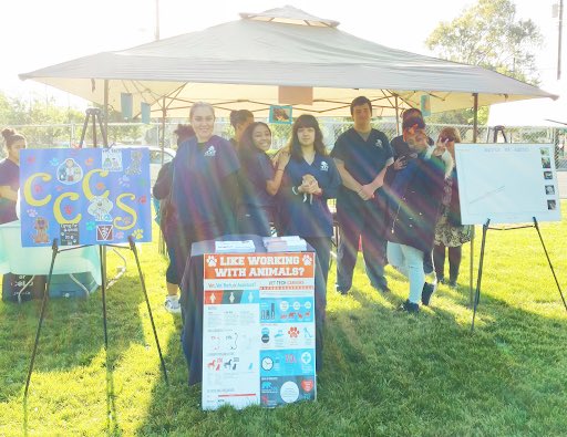 CCCS_School's tweet photo. CCCS Animal Science students are at the @SacramentoSPCA Doggie Dash today to share treats with the runners and their dogs, kittens Elvis, Aron, and Presley with them! Have a great time! #cccssac #gcc_charters #doggiedash #spcasacramento #animalscience #cteclasses https://t.co/5fu6DbULFX