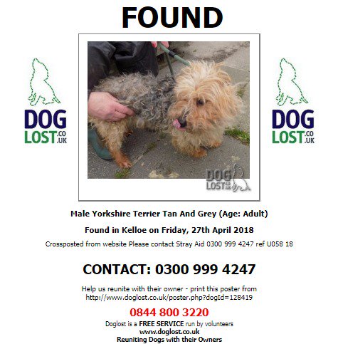 DogLostUK's tweet photo. #FOUND UNKNOWN #Dog
Male #YorkshireTerrier
#Kelloe #CountyDurham #DH6
Friday, 27th April 2018
https://t.co/4LZHZvqaJq
#FoundDog @VetsGetScanning @SAMPAuk_ @pettheftaware https://t.co/zfPQzoza1O