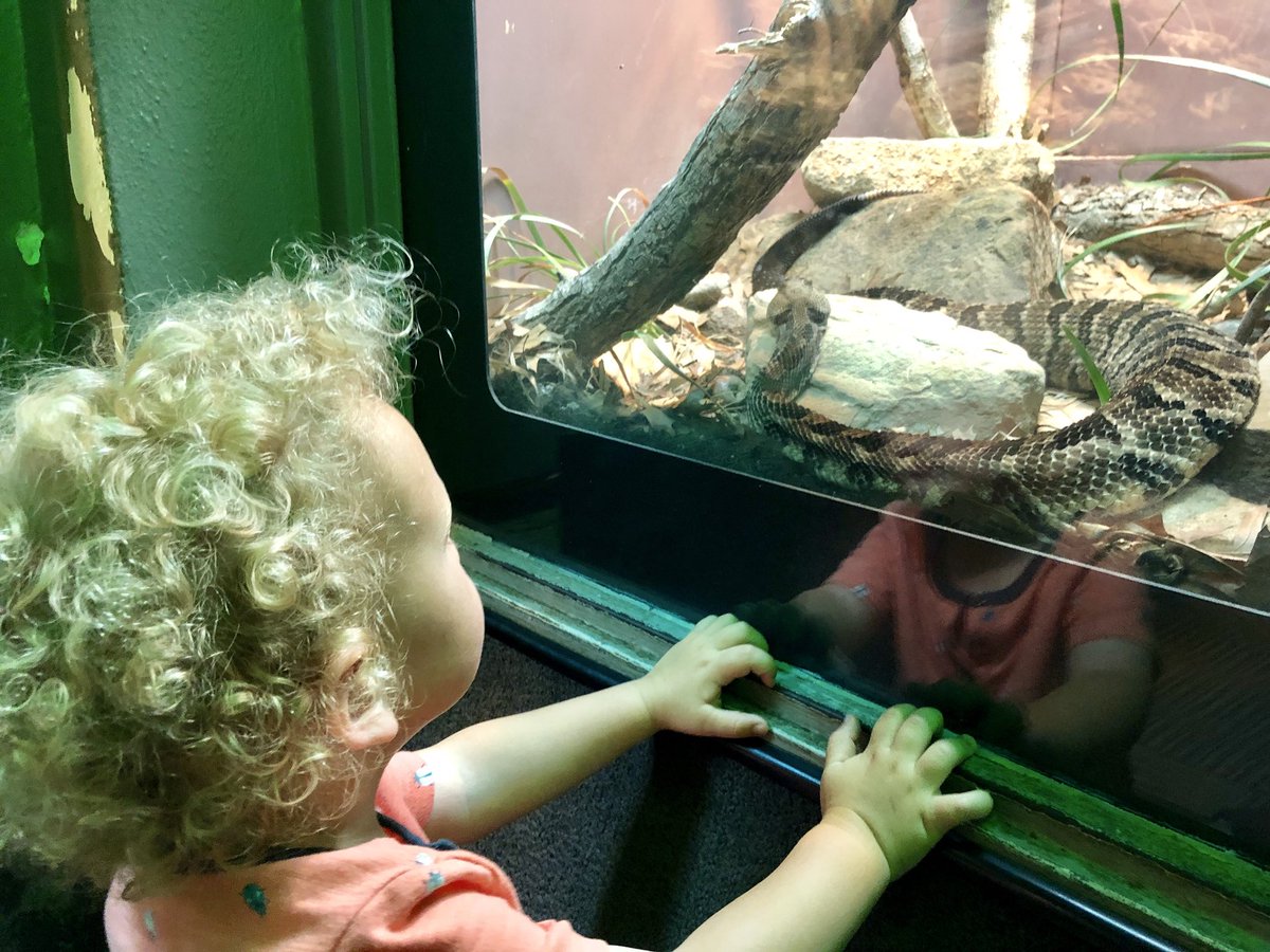 ToddsToxTalks's tweet photo. Two of my loves hanging out. #Futuretoxnerd #newbesties #canwegetone @acmt @FortWorthEM https://t.co/uCRjx2FVBX