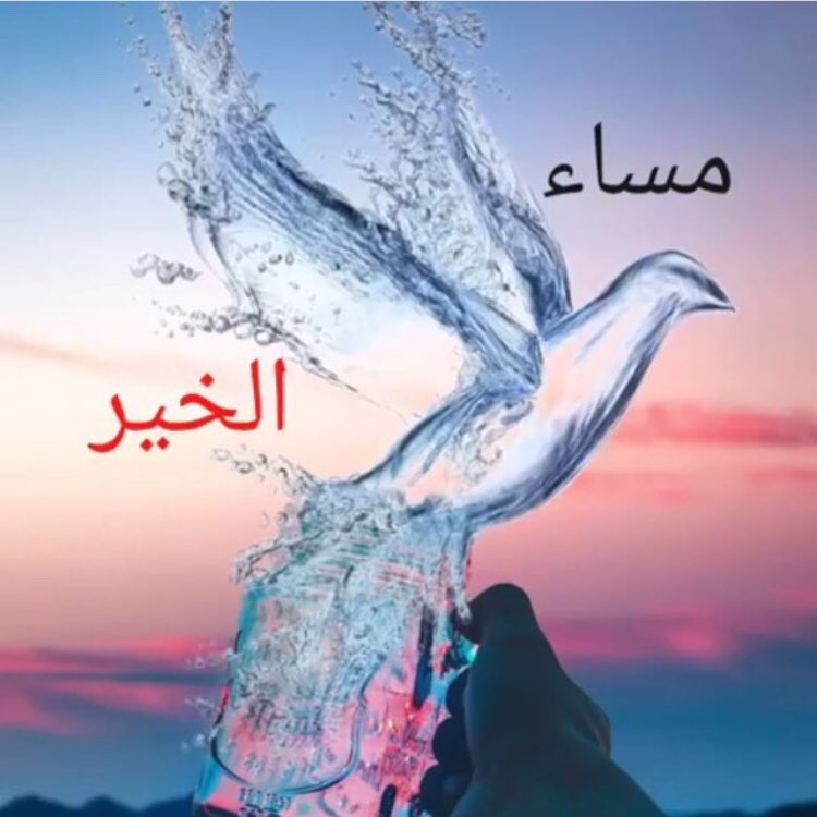 محمد العمودي tweet media