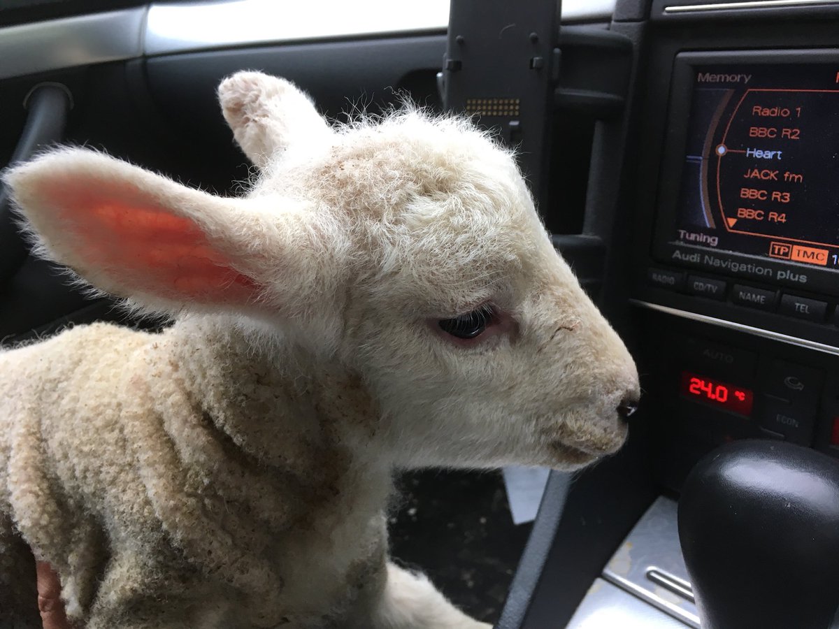 Harry likes <a href="/Heartfm/">Heart fm</a>