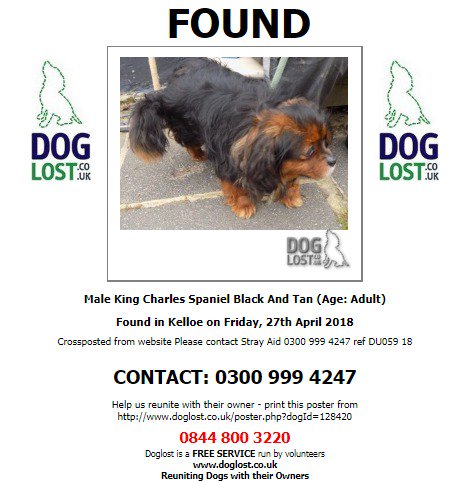 DogLostUK's tweet photo. #FOUND UNKNOWN #Dog
Male #KingCharlesSpaniel
#Kelloe #CountyDurham
Friday, 27th April 2018
https://t.co/PqZmPen6XH
#FoundDog @VetsGetScanning @SAMPAuk_ @pettheftaware https://t.co/eeCYWoMuJ0